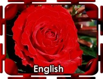 English