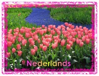 Nederlands